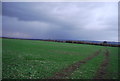 Large field by the path from Otham