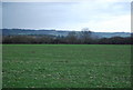 Large field by the path from Otham