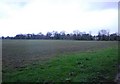 Large field by the footpath