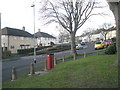 Lamppost in Leominster Road