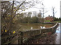 Flood - south side of Aldford Bridge