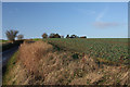 Sunken lane near Lavenham