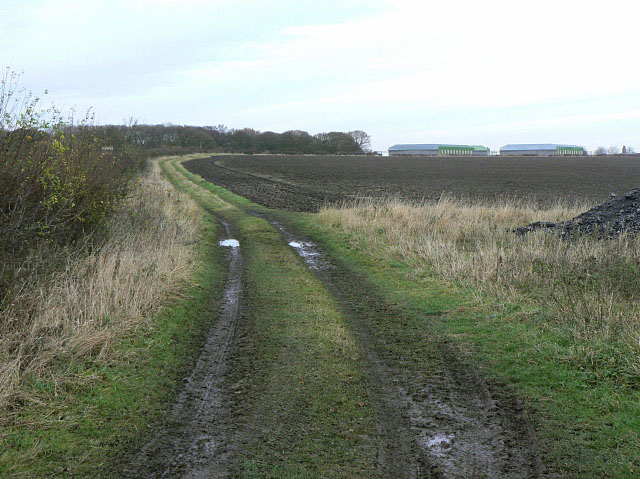 Footpath to Newton