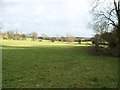 Bottomlands pasture