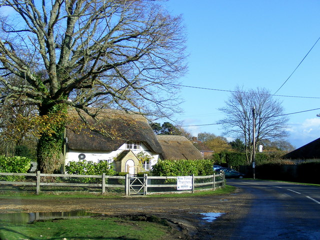 Thatched Cottage in East Boldre