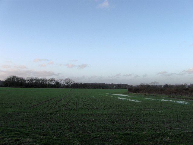 Gate Field