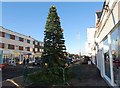 Christmas tree in Lee-on-Solent High Street