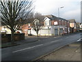 Winter trees in Derby Road