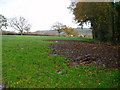 Public Footpath to Myrtle Farm