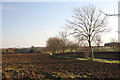 Towards Manor Farm, Thorpe Morieux