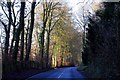 Looking down Chinnor Hill