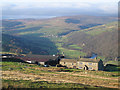 Swaledale from Whitaside