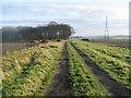 Track to Lyelake Plantation