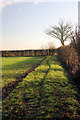 Footpath at Preston St Mary