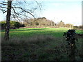 Field between Twyford Road and The Paddock