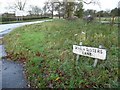 Patch of nettles, at the junction of Seven Sisters Lane and the A50