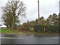 Postbox in a hedge, opposite the Whipping Stocks pub