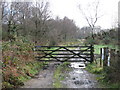 Gate across muddy track on Roundball Hill