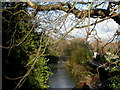 Wimborne, footbridge