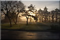NS3647 : Trees, mist, and sun.  The Blair, Auchentiber, Ayrshire by Donald MacDonald