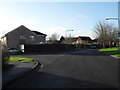 Lampposts in Broadlands Avenue