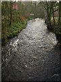 River Taw at Taw Green