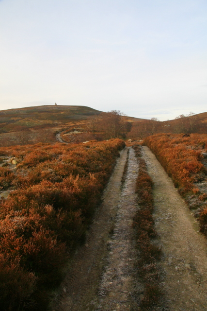 Track on Hill of Rowan