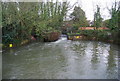 Weir on the Great Stour, Sturry