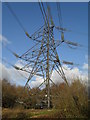 Pylon as seen from the path between  Bosville and Octavia Gardens