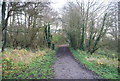 Path in Stodmarsh Nature Reserve