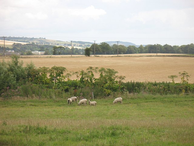 Farmland, Bellfield