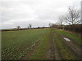 Field access track near Lower Church House