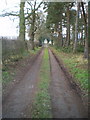 SJ7605 : The Monarch's Way, near Shifnal, looking SW by Richard Law