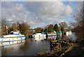 Boats moored on the Great Stour, Grove Ferry