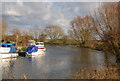 TR2363 : Boats on the Great Stour by N Chadwick