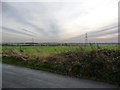 Field boundary, Betteras Hill Road