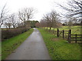 Curtain Lane near Lower Chapel House