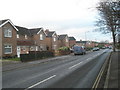 Houses in Derby Road