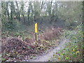 Footpath along former railway track, Ullesthorpe