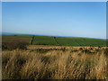 From Cold Fell Road