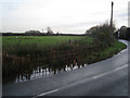 Flood subsiding, Dawlish Warren Road, Eastdon