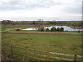 Decorative lake near Crossbury Bank Wood