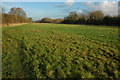 Meadow near Hawbridge