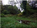 Pool in Rosehill quarry