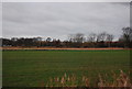 Minster across a field off Marsh Farm Rd