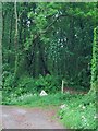 Footpath south of Stokenham