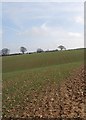 A small dry valley near the Pub with No Name