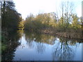 The northwest end of Haughton Pool