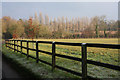 Fencing near Old Buckenham School