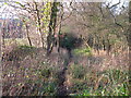 Footpath to Pearcelands